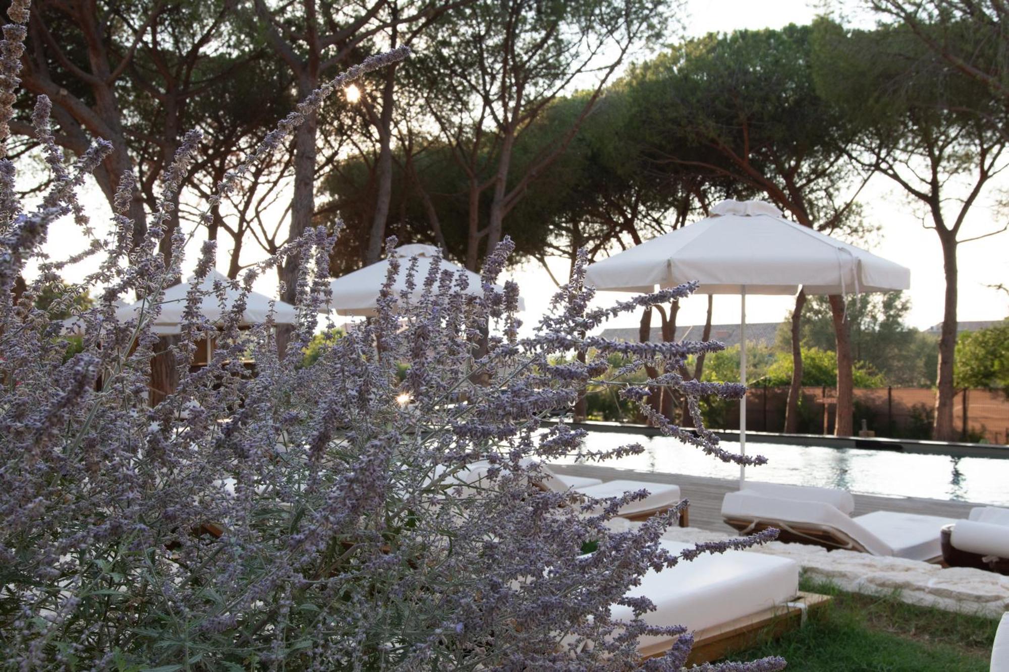 Boutique Hotel Responsable Et Restaurant Basgi Basgi Saint-Florent  Exteriér fotografie